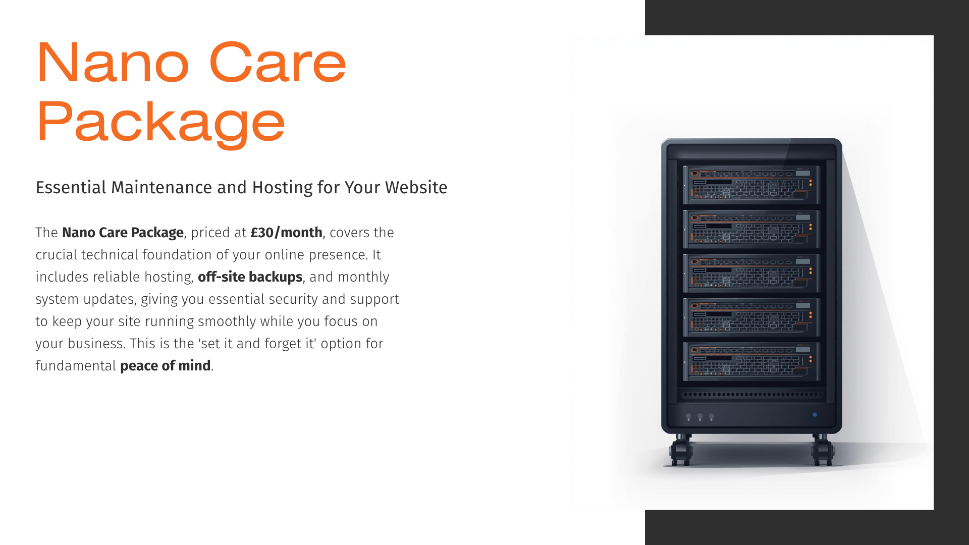 Hosting Services Slide 2