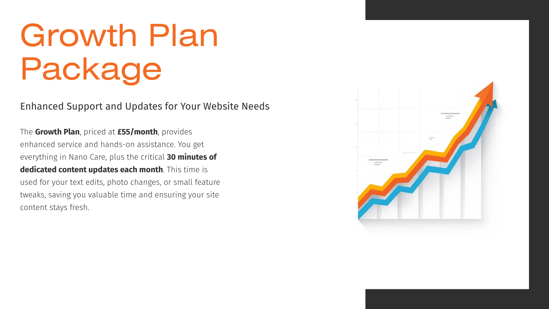 Hosting Services Slide 3